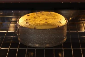 Hot And Tasty Chocolate Chip Ricotta Cake